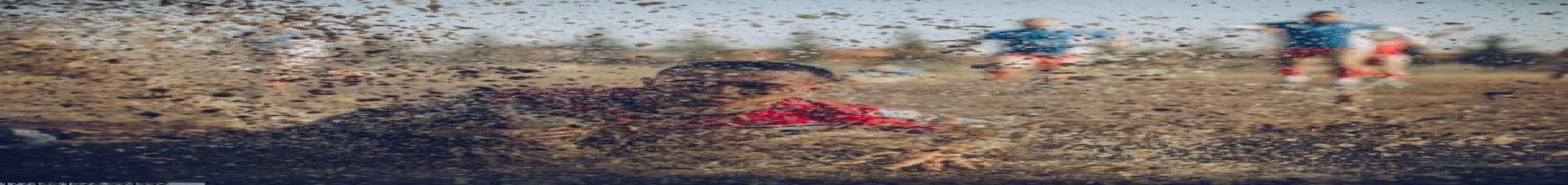 三亿体育运动数据分析服务